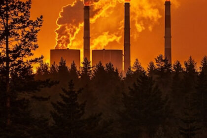 Comment choisir le brûleur industriel adapté à vos besoins ?