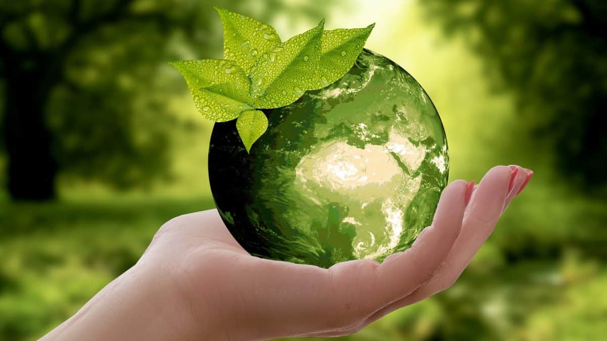 Le recyclage des déchets : essentiel et obligatoire pour toutes les entreprises